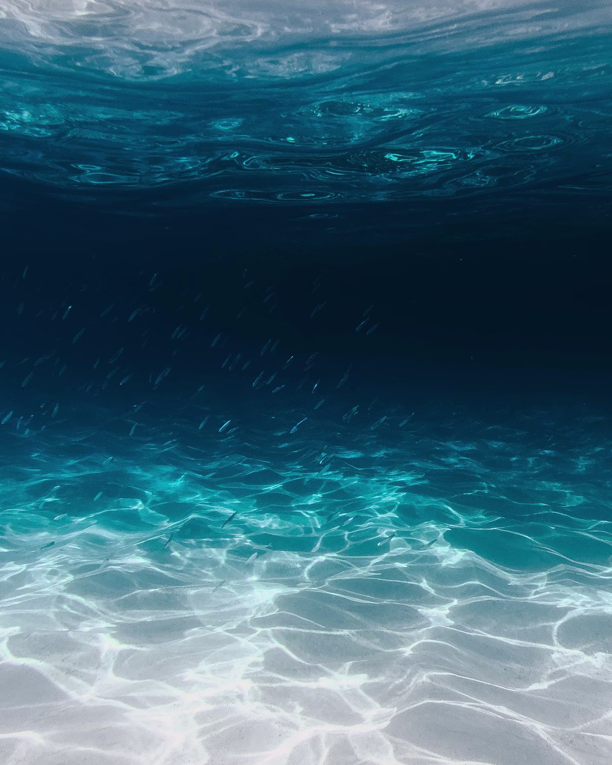 Clear water — Michigan water well contractor insurance