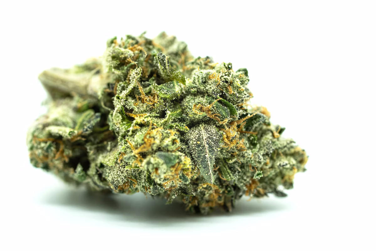 Licensed Michigan cannabis — specialized cannabis business insurance